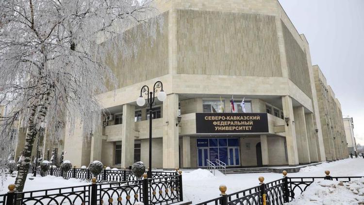 В СКФУ окажут бесплатную юридическую помощь беженцам из ДНР и ЛНР