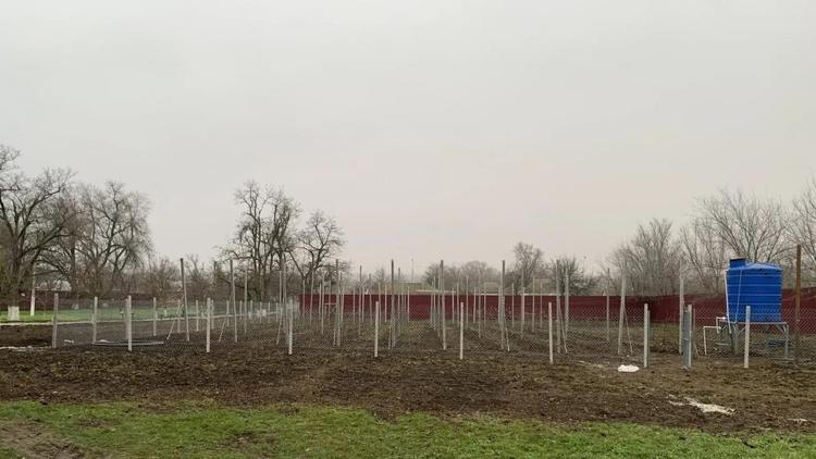 В Благодарненском округе Ставрополья заложили школьный сад