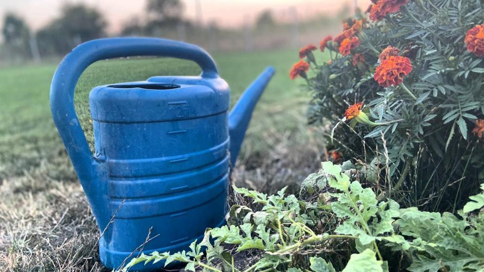 В Ставрополе на субсидии дачникам выделено 5 млн рублей