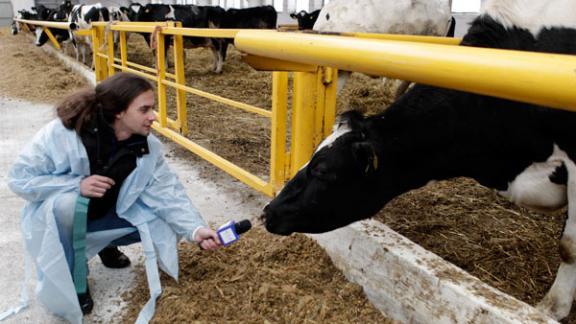 Совещание об инвестициях в АПК провела в Ставрополе замминистра сельского хозяйства РФ Елена Гангало