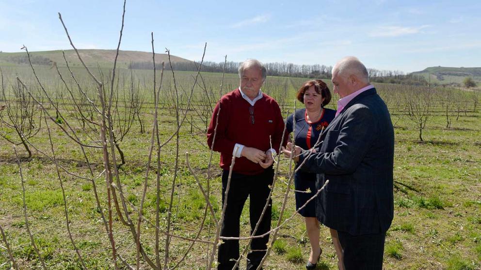 Яблоневый сад: родом из детства