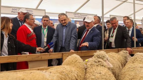 Ставропольские овцеводы взяли два Гран-при на Российской выставке племенных овец и коз