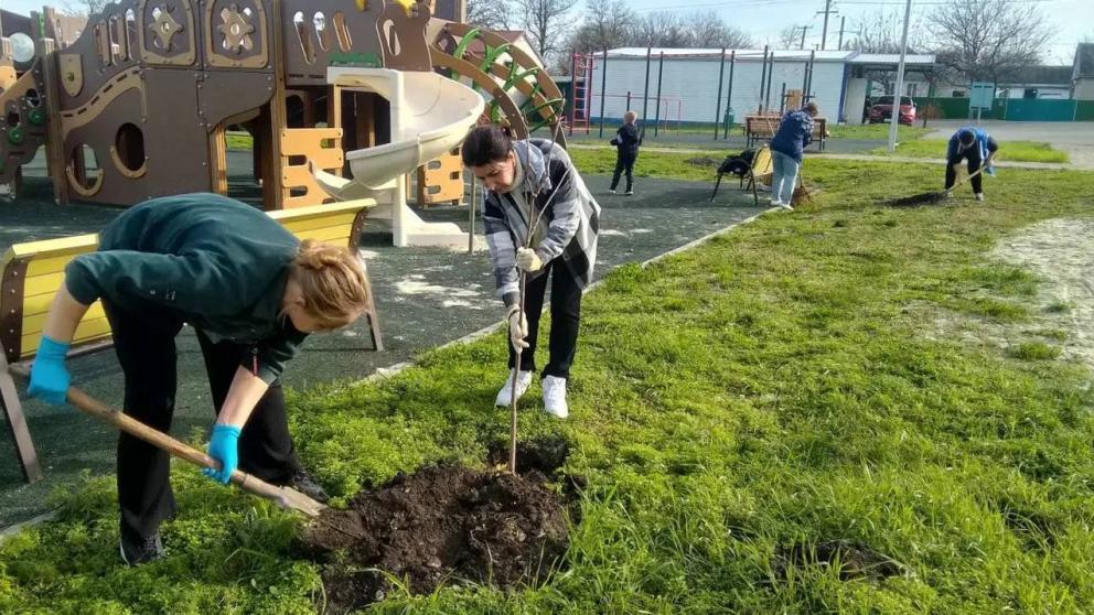 В населённых пунктах Кочубеевского округа идёт процесс озеленения территорий