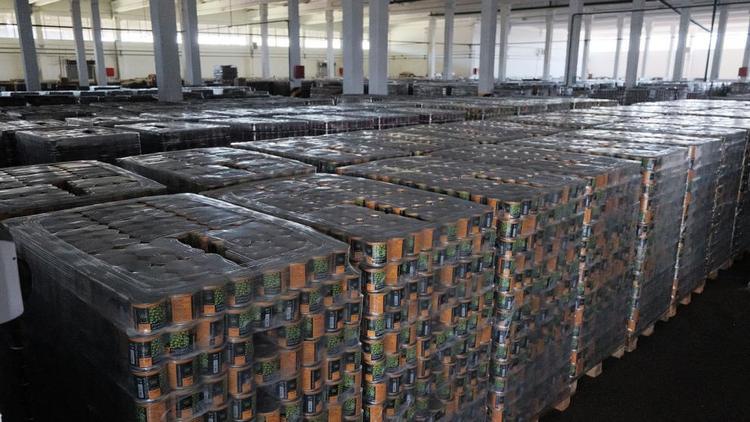Ставропольский экспорт продукции АПК на 25 процентов превысил прошлогодние показатели