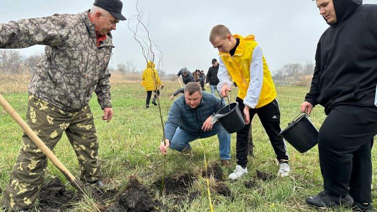 В Новоалександровском округе Ставрополья заложили сквер