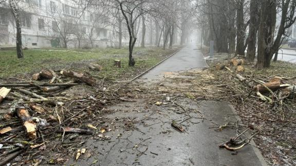 Из-за сильного ветра экстренные службы Ставрополя переведены в режим повышенной готовности