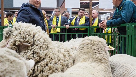 Ставрополье в пятерке регионов лидеров по наградам выставки «Золотая осень – 2016»