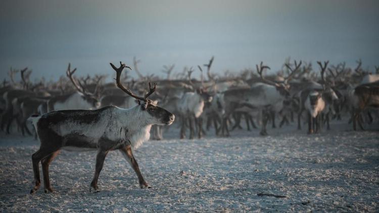 Вместе в цифровое будущее: стартует юбилейный конкурс «Ростелекома» для региональных ИТ-журналистов и блогеров