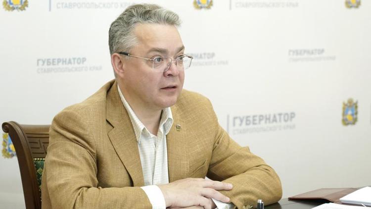 Эксперт обозначил гарантии прохождения новых инвестпроектов на ТОСЭР в Невинномысске