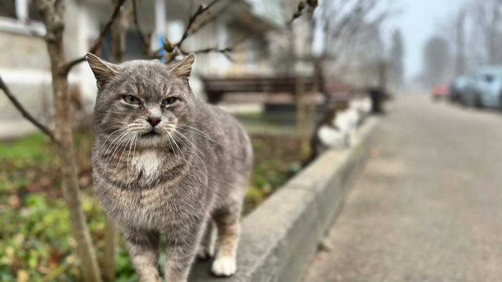 Плюсовые температуры ожидаются на Ставрополье в начале недели