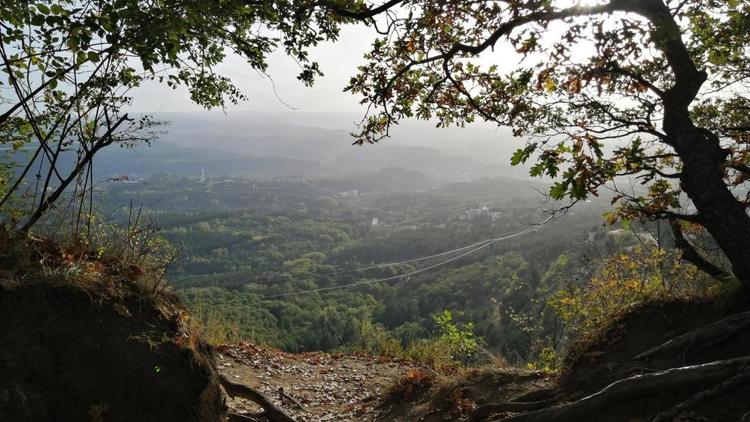 Ставрополье – один из активных участников национального проекта «Экология»