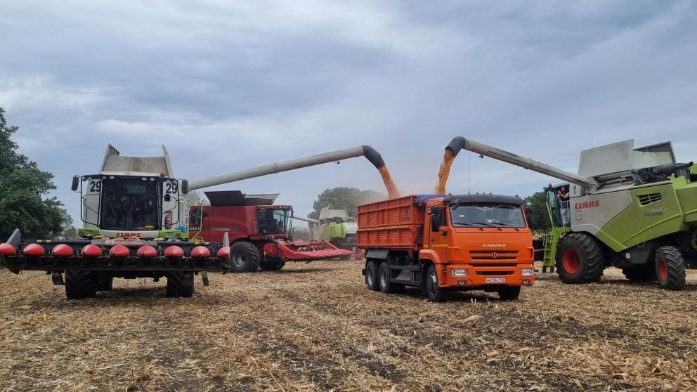 На Ставрополье пропашные культуры убраны на 50%