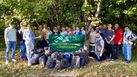 На Ставрополье устроили субботник в Русском лесу