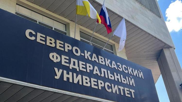 В СКФУ создали наноструктурированную систему для эффективной регенерации поврежденных костей