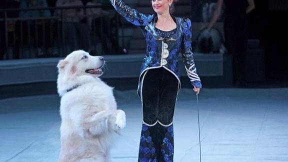 Новогодний сюрприз от Марицы и Дана Запашных в Ставрополе