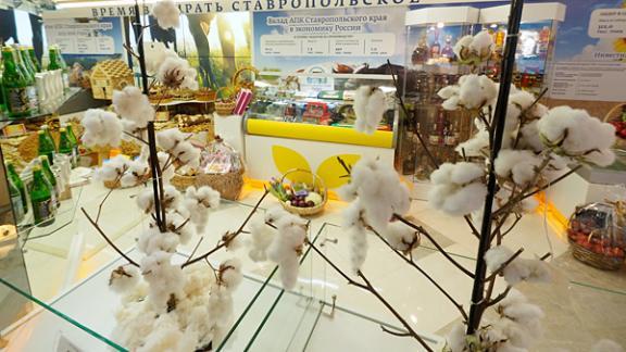 Импортозамещающие деликатесы презентовало Ставрополье в Совете Федерации