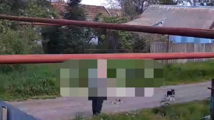 В хуторе Прогресс изъяли ружьё у мужчины, стрелявшего в щенка