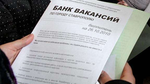 Служба занятости края поможет найти работу через Интернет