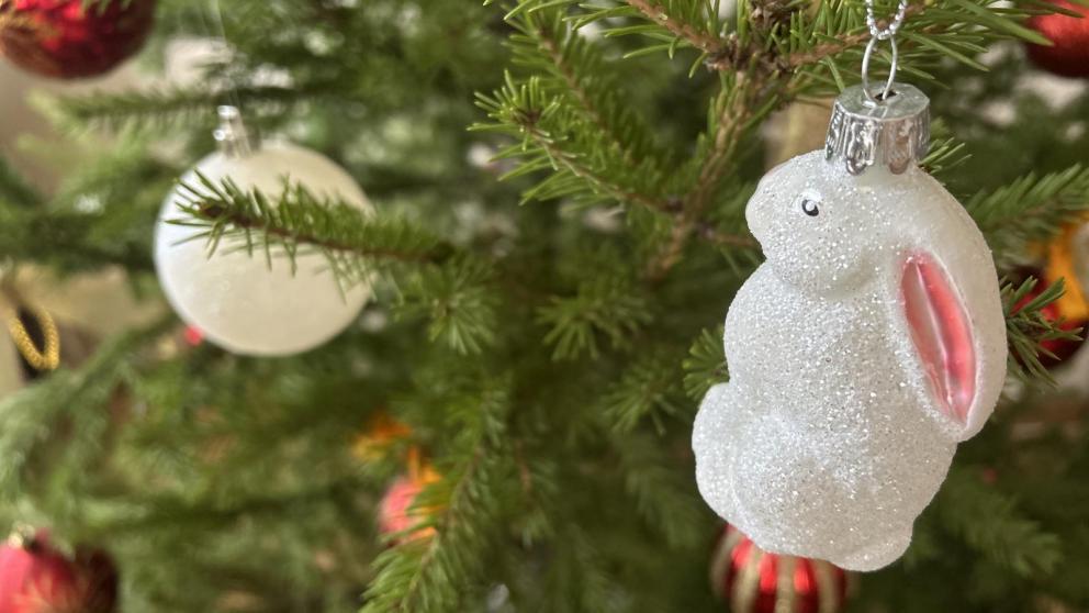 В Предгорном округе начали установку главной новогодней ёлки