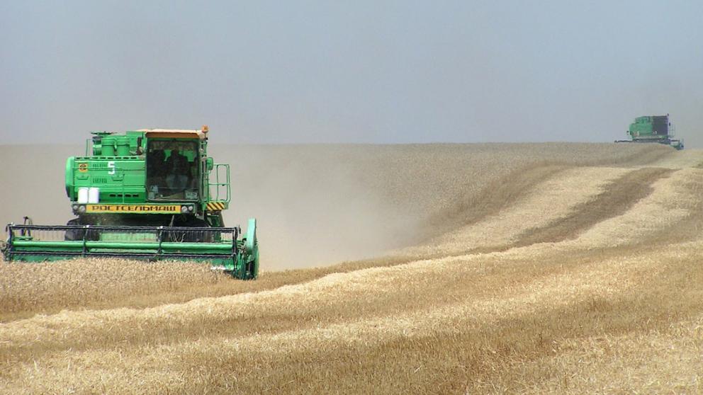 Будённовские аграрии завершают уборку озимого ячменя