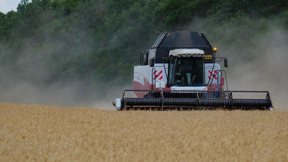 Эксперт: Ставрополье закрепляет статус участника формирования аграрной политики страны
