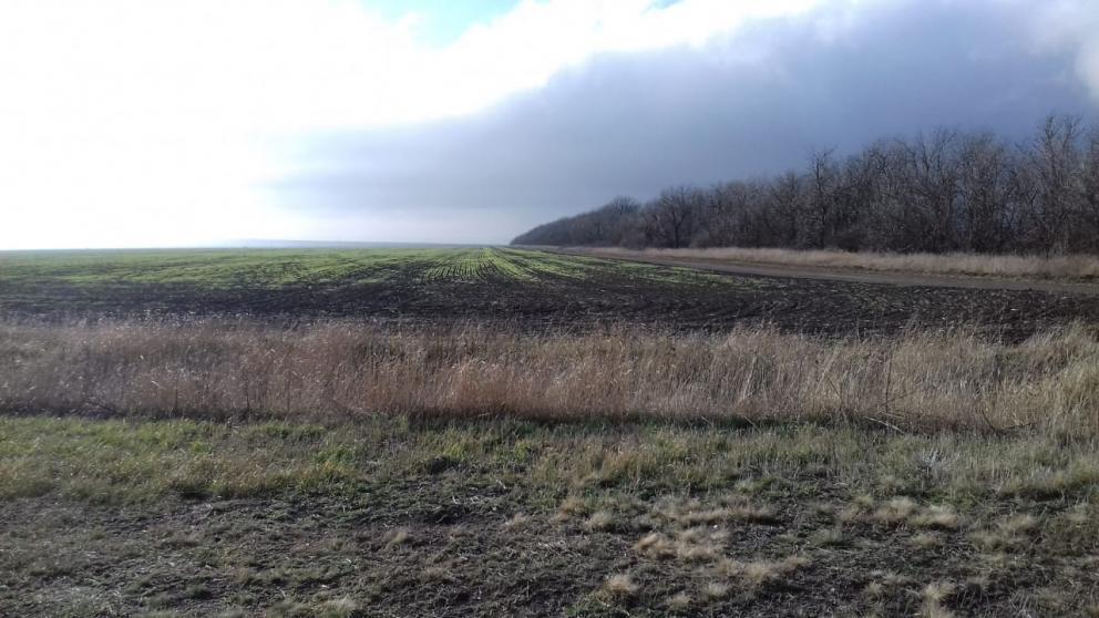 В Андроповском районе Ставрополья аграрии борются с вредителями на полях