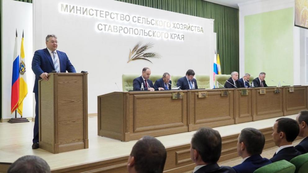 Итоги и перспективы развития животноводства обсудили в минсельхозе Ставрополья