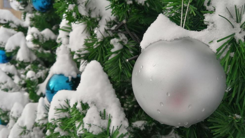 В Предгорном округе отказались от новогодних гуляний в пользу бойцов СВО