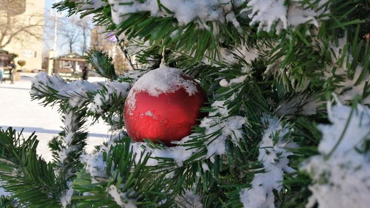 В Предгорном округе Ставрополья для детей с ОВЗ организовали праздник