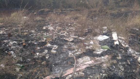 Благодарный в дыму