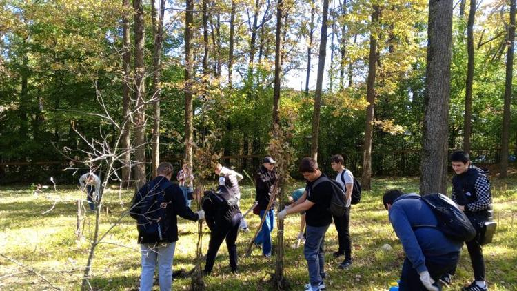 Лесхозы и эковолонтёры Ставрополья начали подготовку к ежегодной патриотической акции «Сад Памяти»