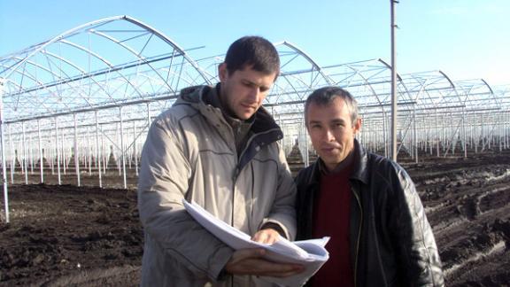 Инвестпроект по строительству тепличного комплекса реализуется в станице Марьинской