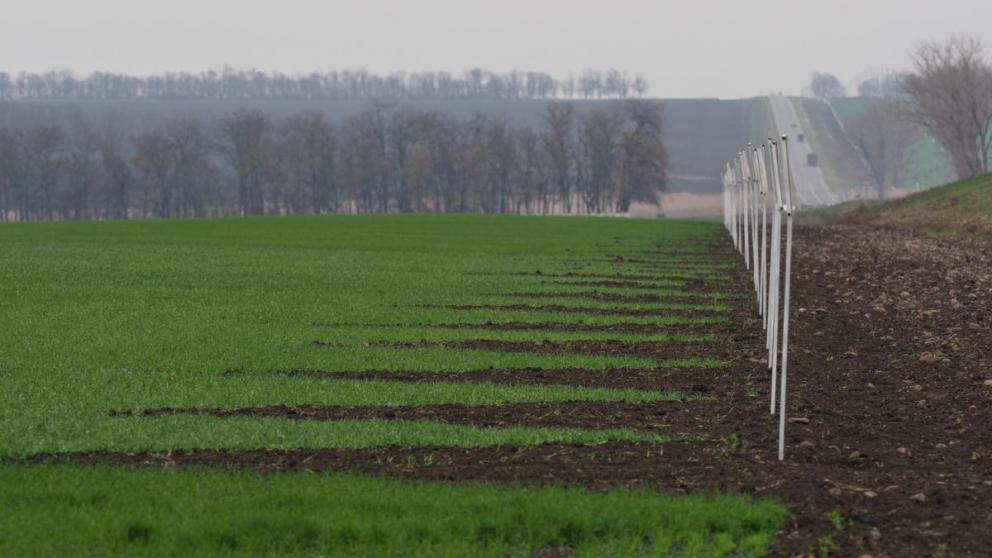 На Ставрополье озимые перенесли весенние заморозки без ущерба