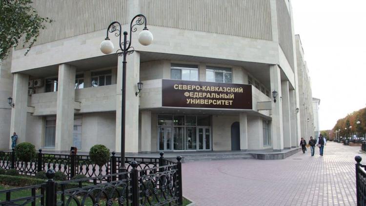 Ставропольская студентка стала призёром молодёжного Кубка по менеджменту
