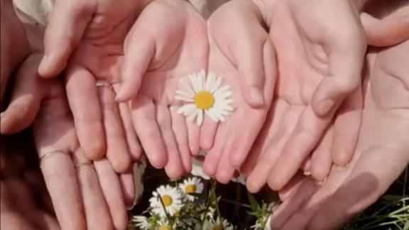 На Ставрополье отмечается ежегодный рост числа многодетных семей