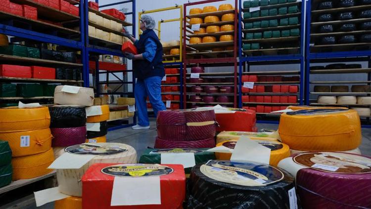 Новое сырохранилище запустили в Ипатовском округе Ставрополья