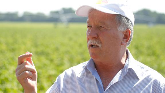 На Ставрополье собрали 9,3 млн тонн зерна, качество – одно из лучших в РФ