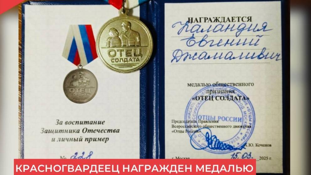 Родитель бойца СВО из Красногвардейского округа награждён медалью «Отец солдата»