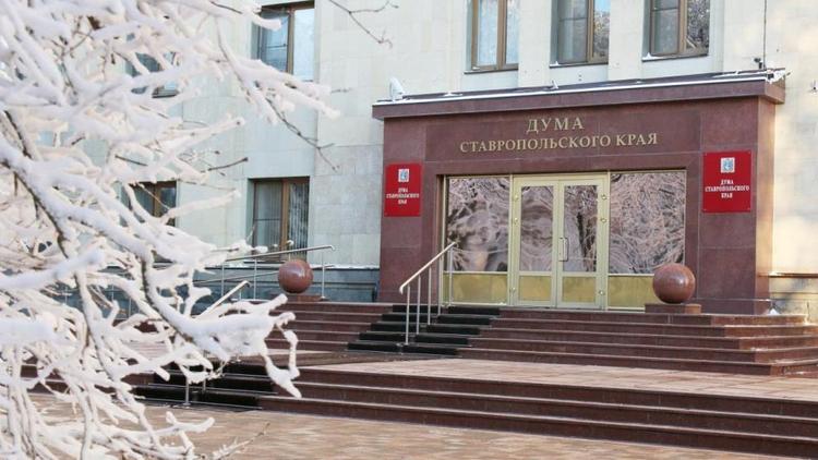 Ставропольские депутаты обсудят проект Стратегии молодёжной политики