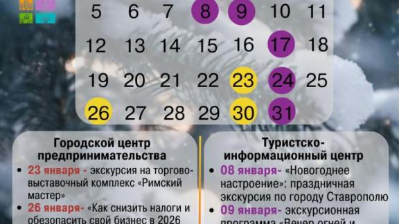 Центр предпринимательства в Ставрополе оказал более 2 тысяч консультаций