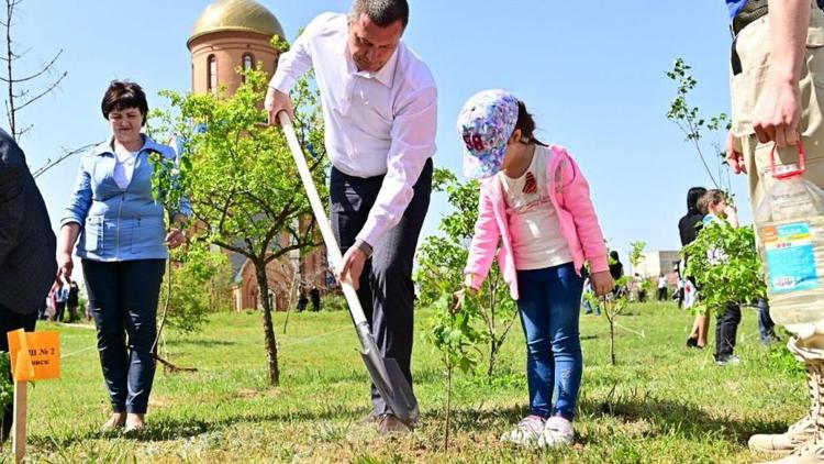 В Буденновском округе высадили 250 кустов сирени