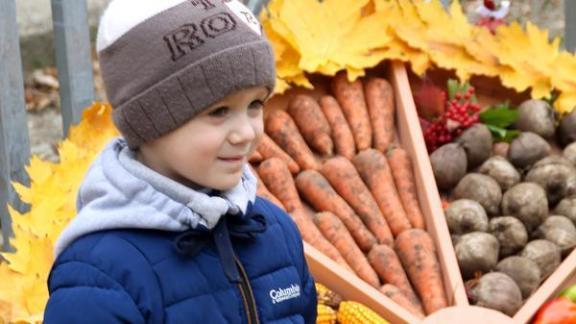 Где в Невинномысске купить дешёвые продукты и не только