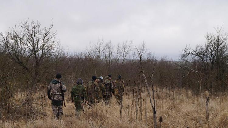 На Ставрополье люди попали в больницу после встречи с волками