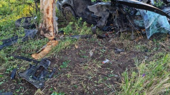 В Будённовском округе Ставрополья водитель не справился с управлением и врезался в дерево