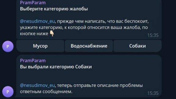 В Железноводске запустят телеграм-бот для приёма обращений жителей