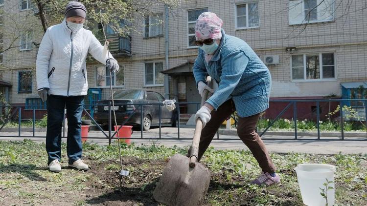 На Ставрополье высадили 180 тысяч деревьев и кустарников