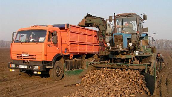 Первый миллион тонн сахарной свеклы собрали в Ставропольском крае