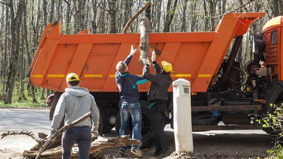 Акция «Сохраним природу Ставрополья!»: первые субботники провели в крае