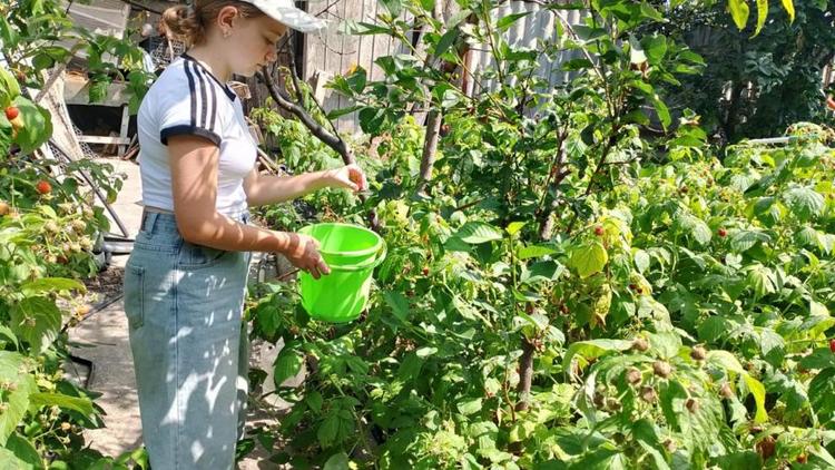 Юные добровольцы на Ставрополье помогают пожилым землякам по программе «Звенья милосердия»