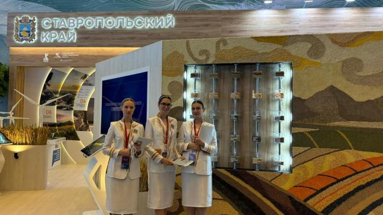 Более 4 тысяч гостей посетили стенд Ставрополья на КИФ-2025